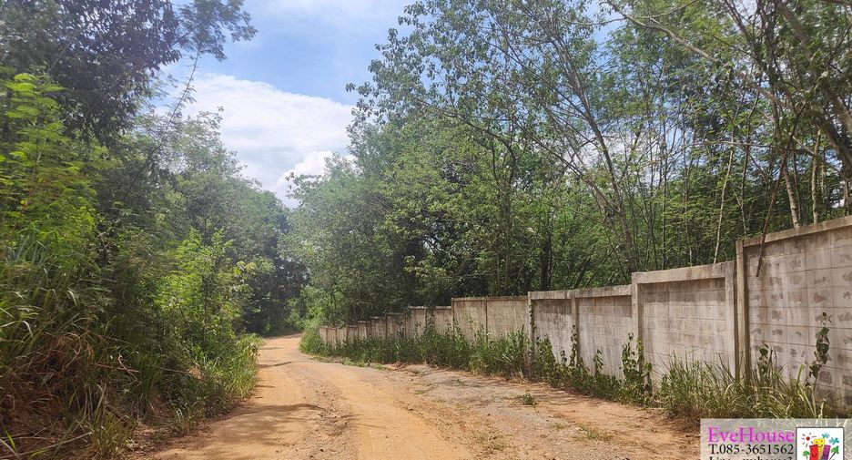 For sale land in Prachantakham, Prachin Buri