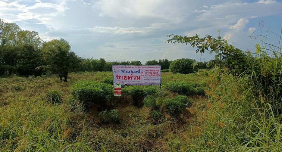 For sale land in Kosamphi Nakhon, Kamphaeng Phet