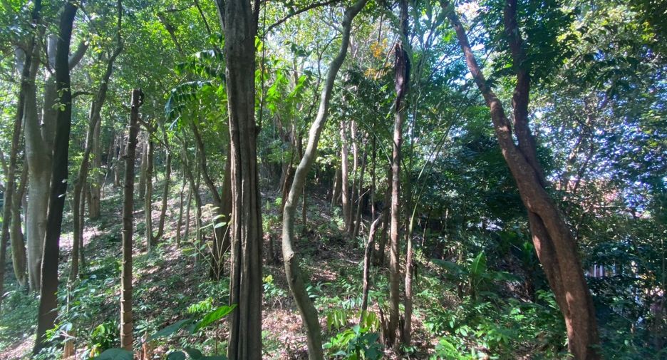 À vendre terrain à Mueang Phuket, Phuket