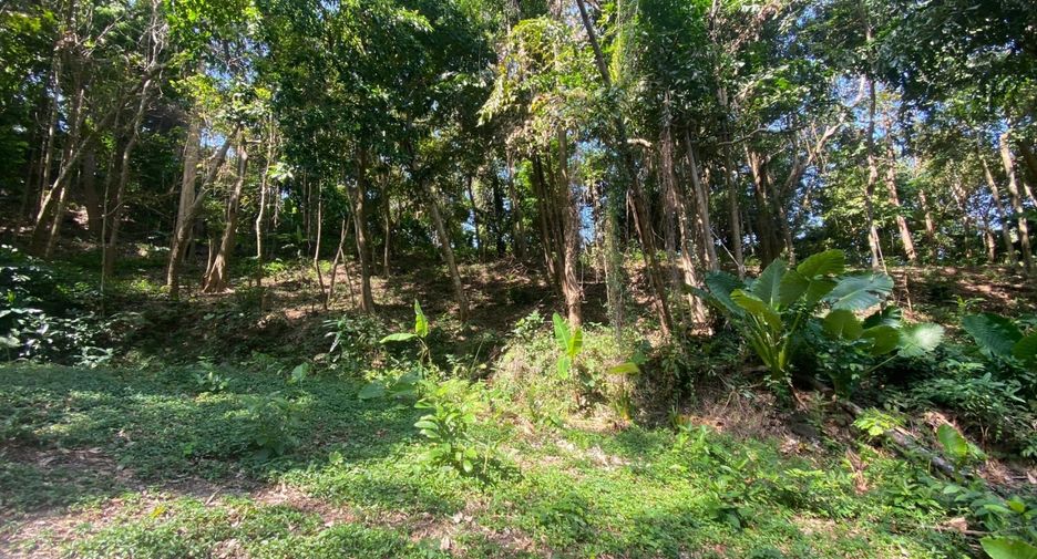 À vendre terrain à Mueang Phuket, Phuket