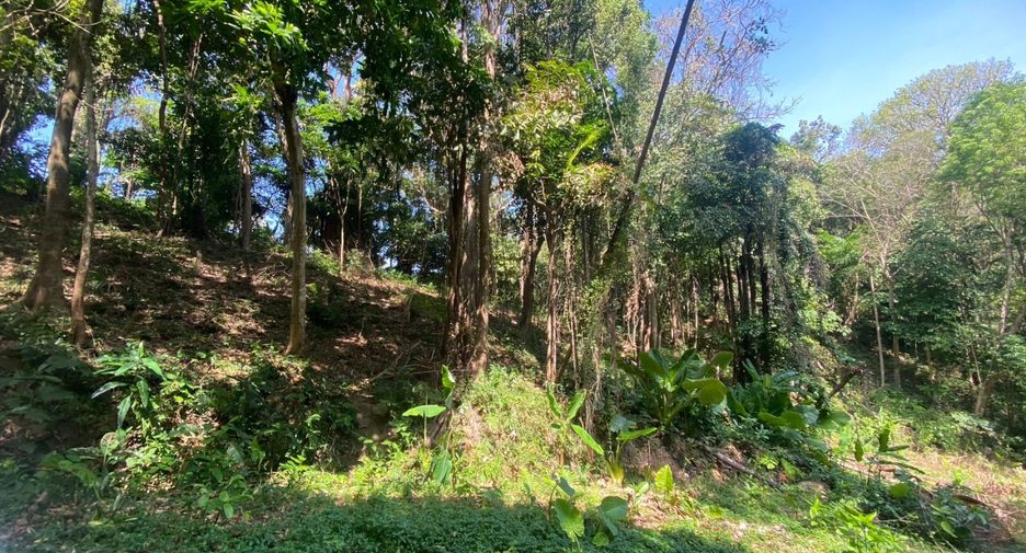 À vendre terrain à Mueang Phuket, Phuket