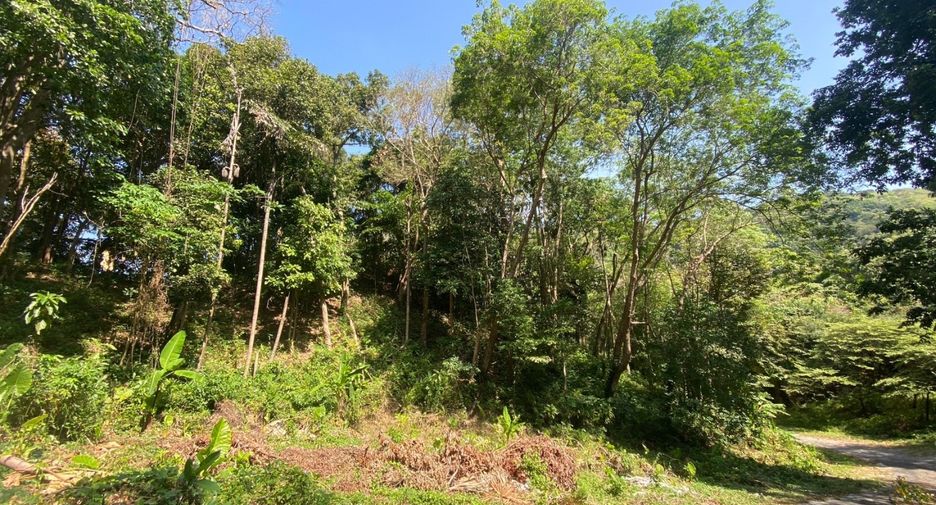 À vendre terrain à Mueang Phuket, Phuket