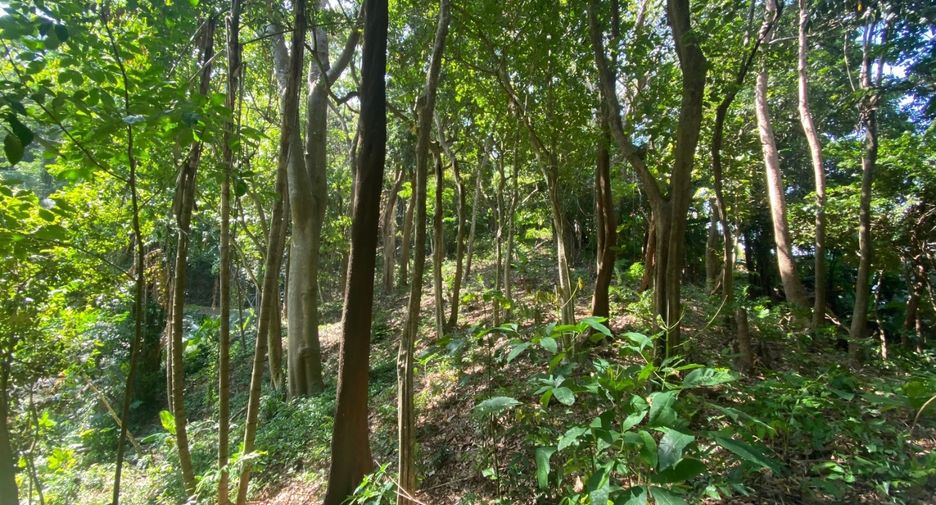 À vendre terrain à Mueang Phuket, Phuket