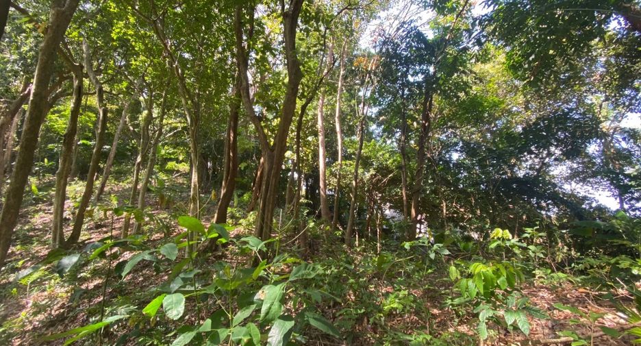 À vendre terrain à Mueang Phuket, Phuket