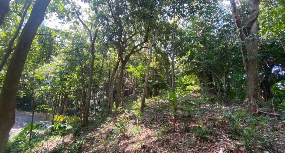 À vendre terrain à Mueang Phuket, Phuket