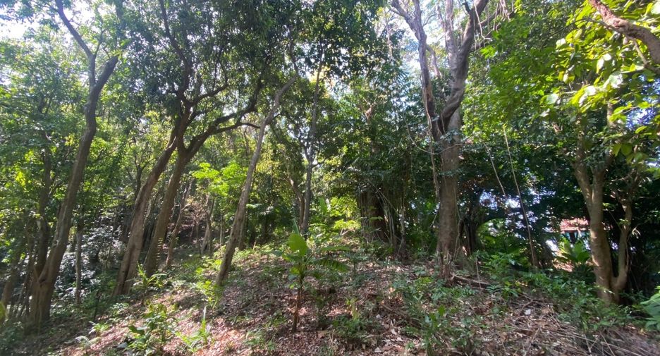 À vendre terrain à Mueang Phuket, Phuket