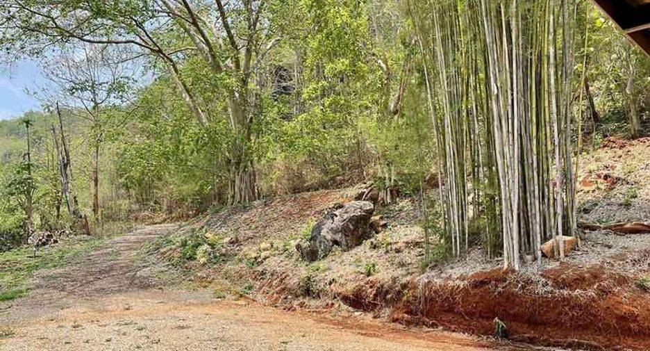 For sale 2 bedrooms house in Samoeng, Chiang Mai