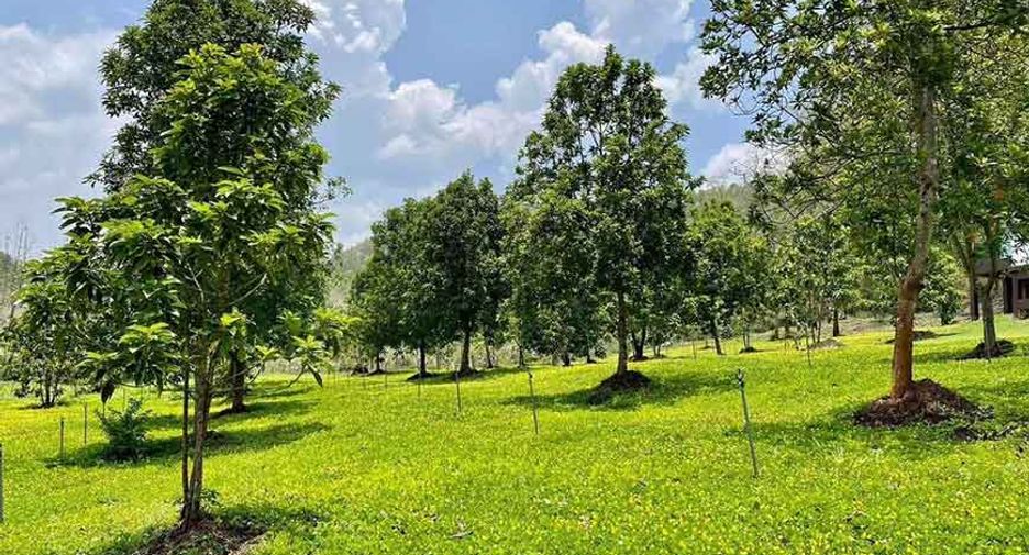 For sale 2 bedrooms house in Samoeng, Chiang Mai