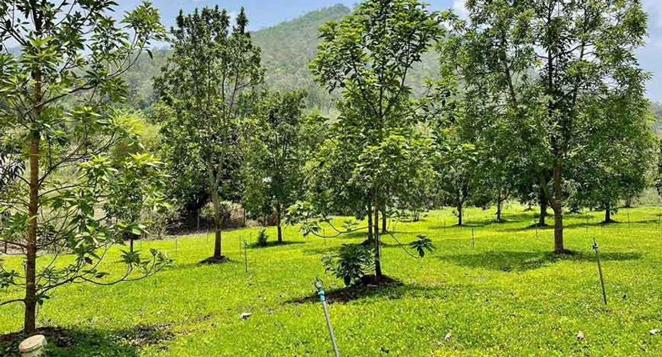 For sale 2 bedrooms house in Samoeng, Chiang Mai