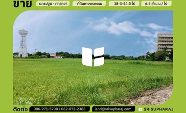 ขาย ที่ดิน ใน สามพราน, นครปฐม