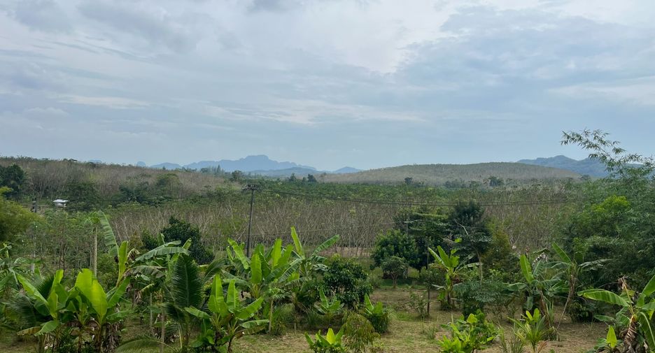 For sale 1 bed house in Takua Thung, Phang Nga
