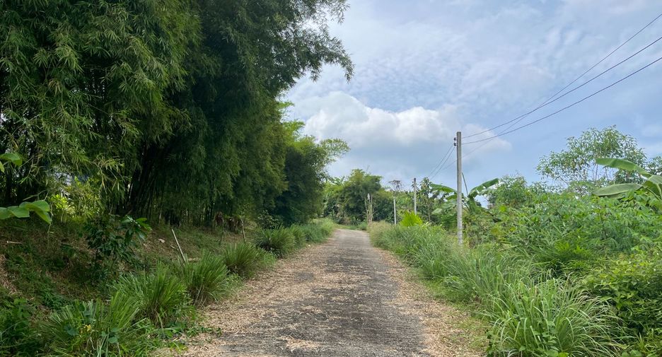 For sale 1 bed house in Takua Thung, Phang Nga