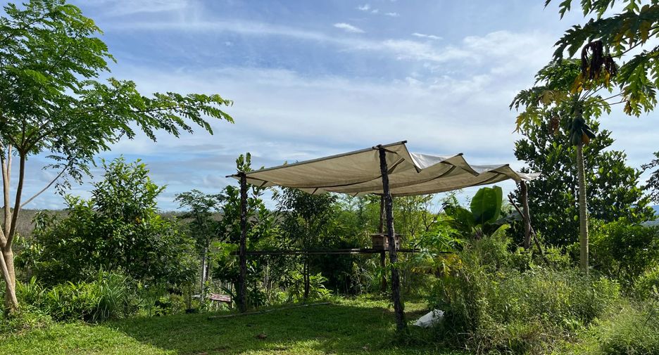 For sale 1 bed house in Takua Thung, Phang Nga