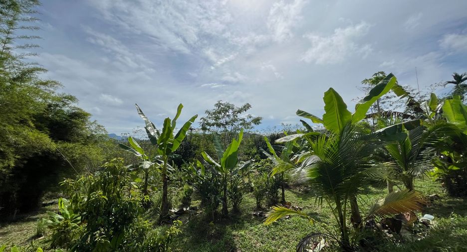For sale 1 bed house in Takua Thung, Phang Nga