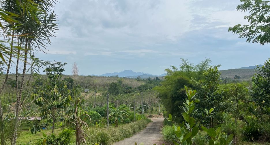 For sale 1 bed house in Takua Thung, Phang Nga