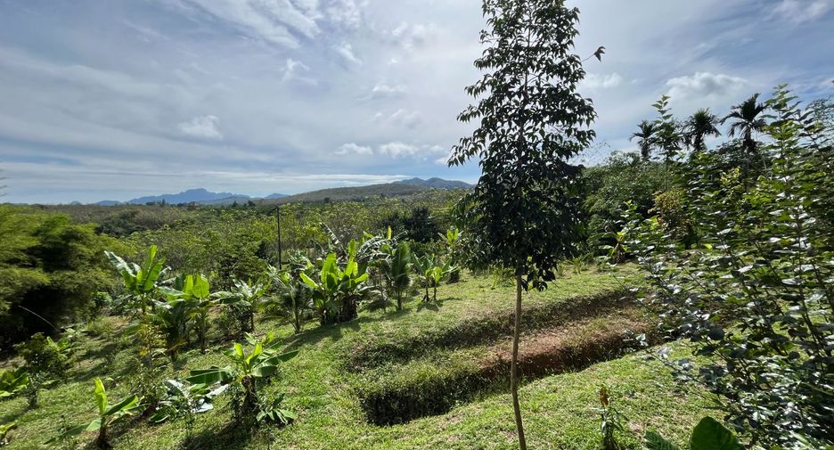 For sale 1 bed house in Takua Thung, Phang Nga