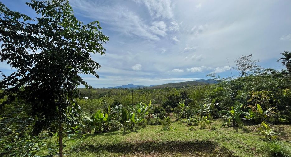 For sale 1 bed house in Takua Thung, Phang Nga