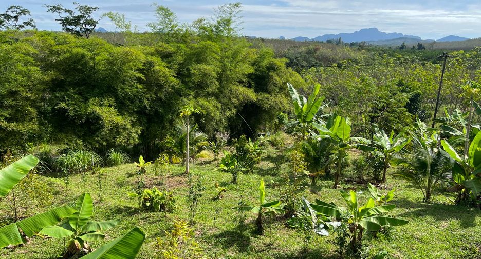For sale 1 bed house in Takua Thung, Phang Nga
