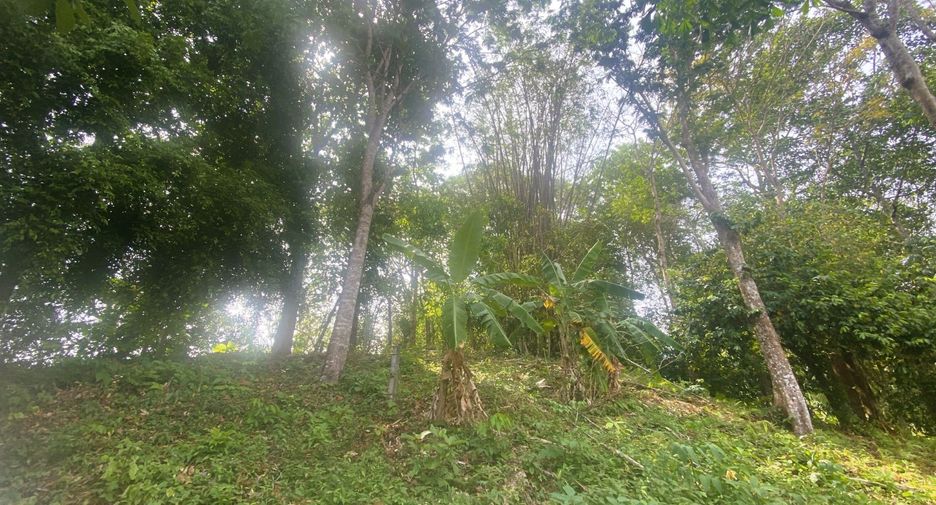 出售 土地 在 Kathu, 普吉