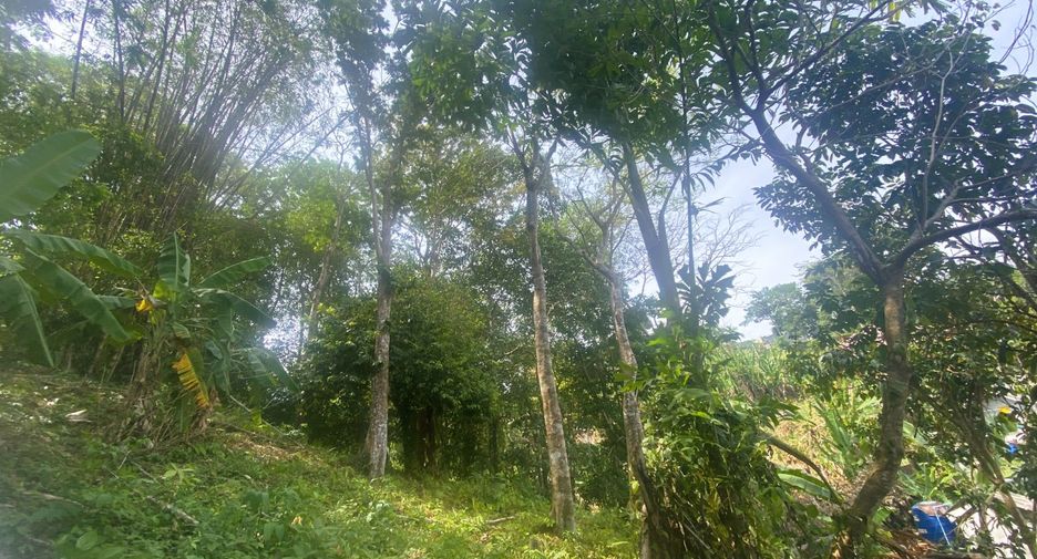 出售 土地 在 Kathu, 普吉