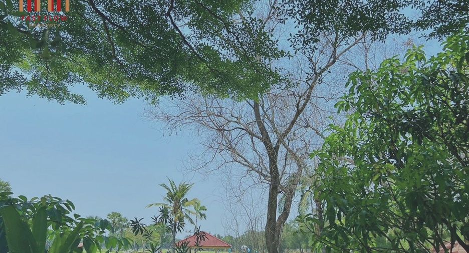 For sale 2 bedrooms house in Khlong Luang, Pathum Thani