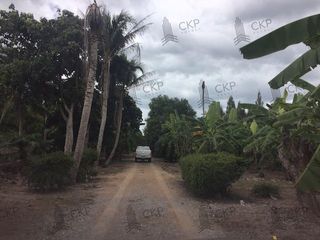 For rent and for sale land in Tha Yang, Phetchaburi