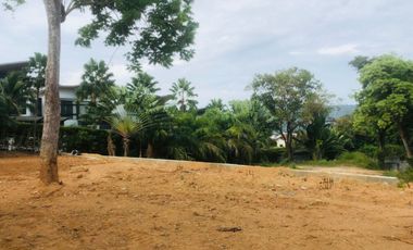 For sale land in Thalang, Phuket