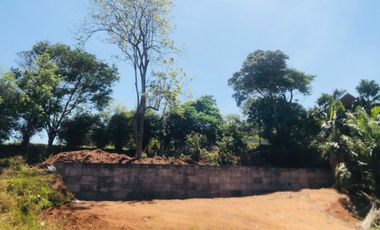 For sale land in Thalang, Phuket