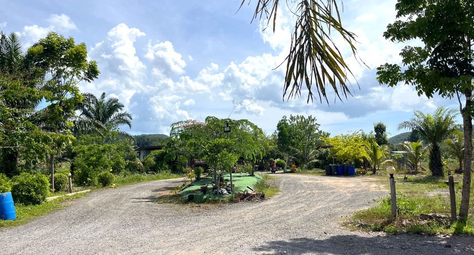 For rent land in Takua Thung, Phang Nga