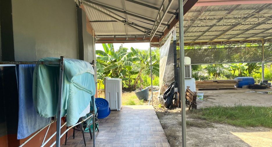 For rent land in Takua Thung, Phang Nga