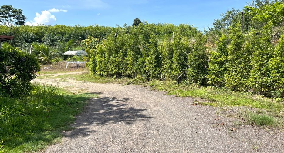 For rent land in Takua Thung, Phang Nga
