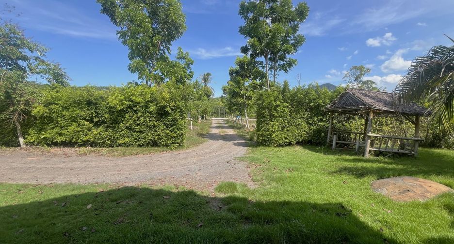 For rent land in Takua Thung, Phang Nga