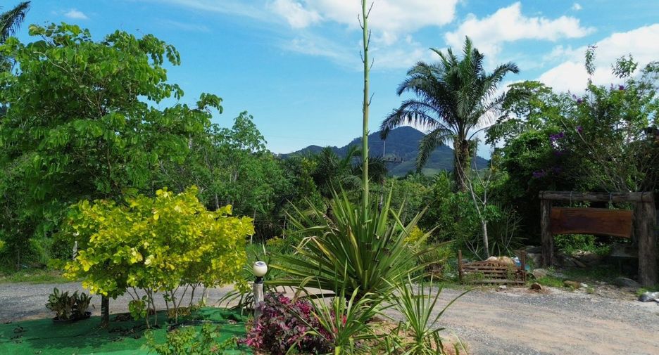 For rent land in Takua Thung, Phang Nga