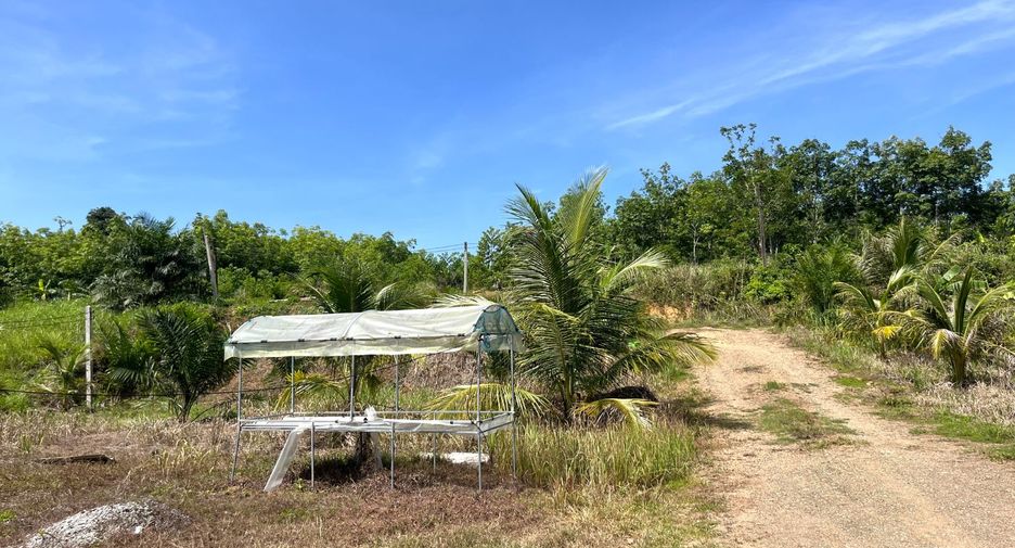 For rent land in Takua Thung, Phang Nga