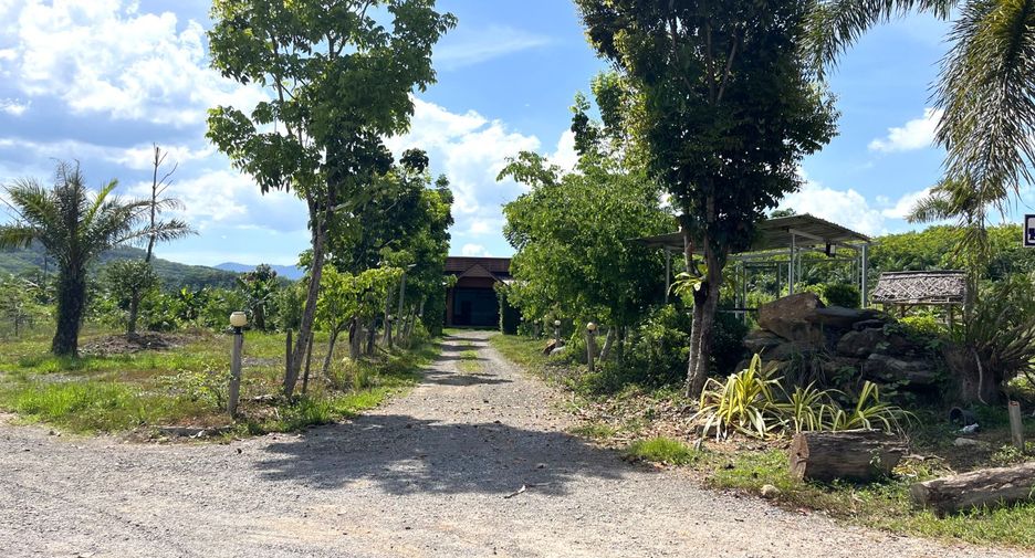 For rent land in Takua Thung, Phang Nga