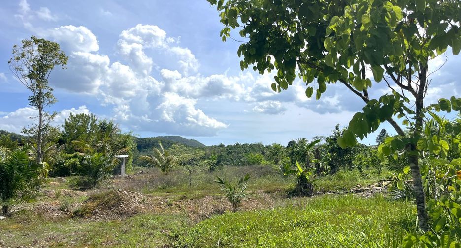 For rent land in Takua Thung, Phang Nga