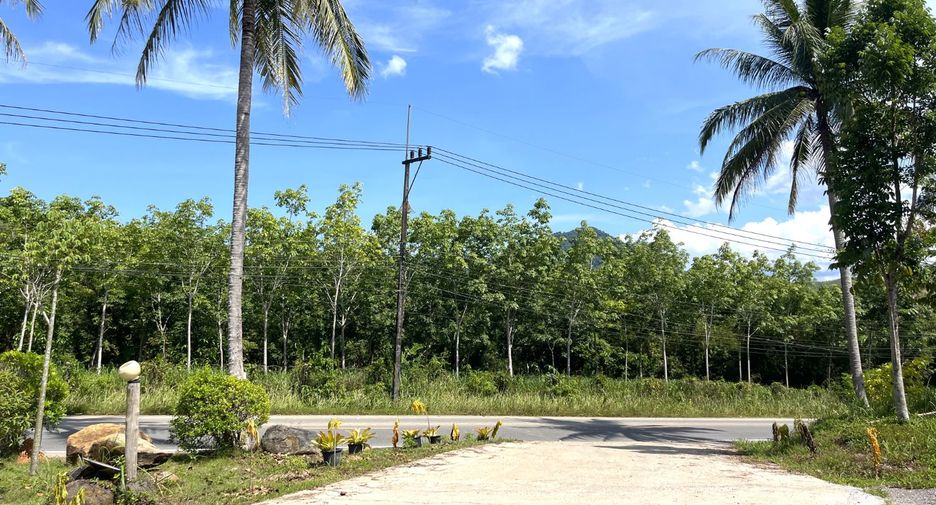 For rent land in Takua Thung, Phang Nga