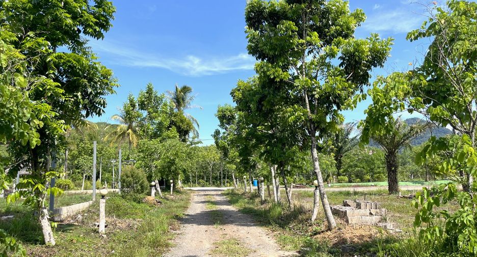 For rent land in Takua Thung, Phang Nga