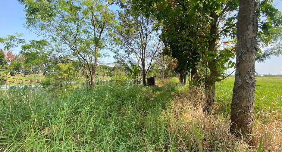 ขาย ที่ดิน ใน ศรีเทพ, เพชรบูรณ์