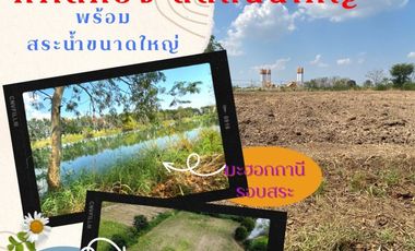 À vendre terrain à Si Thep, Phetchabun