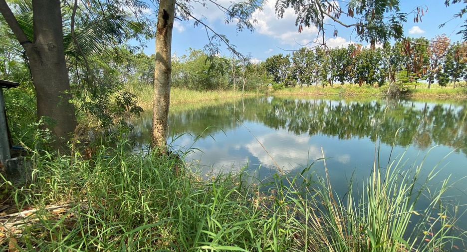 ขาย ที่ดิน ใน ศรีเทพ, เพชรบูรณ์