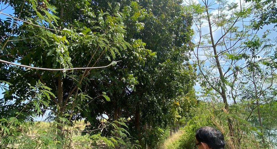 ขาย ที่ดิน ใน ศรีเทพ, เพชรบูรณ์