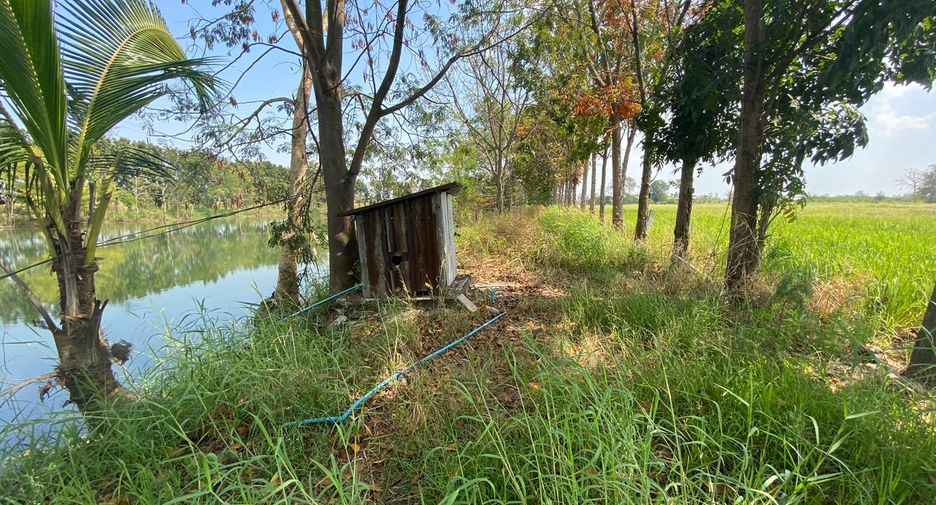 ขาย ที่ดิน ใน ศรีเทพ, เพชรบูรณ์