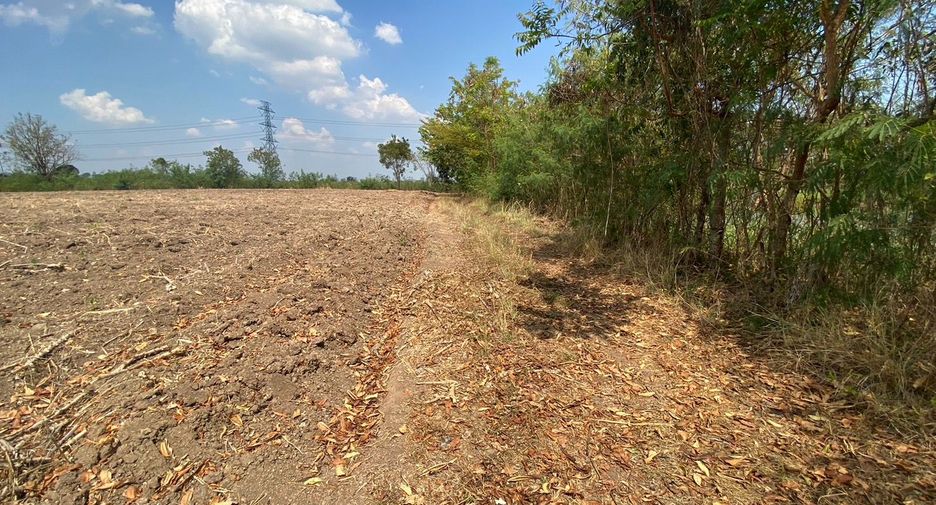 ขาย ที่ดิน ใน ศรีเทพ, เพชรบูรณ์