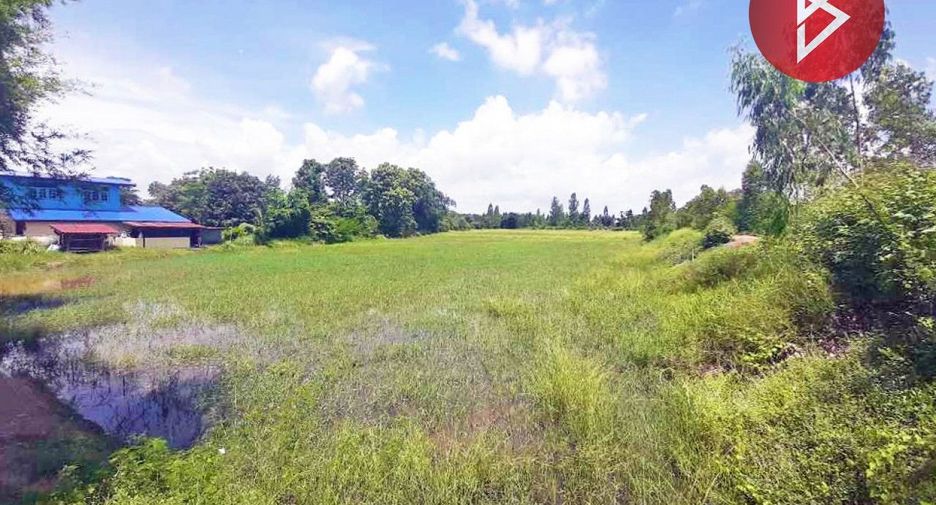 For sale land in Wat Sing, Chainat