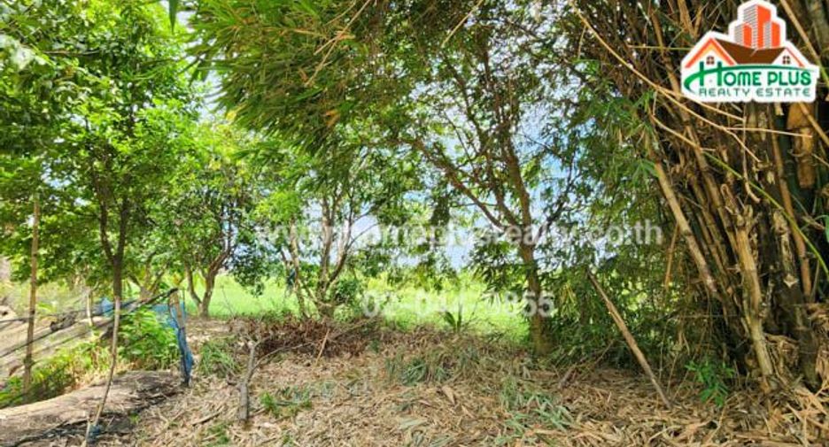 For sale land in Nong Chok, Bangkok