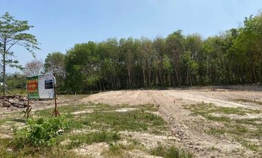 For sale land in Mueang Krabi, Krabi