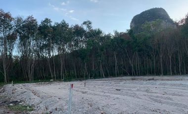 For sale land in Mueang Krabi, Krabi