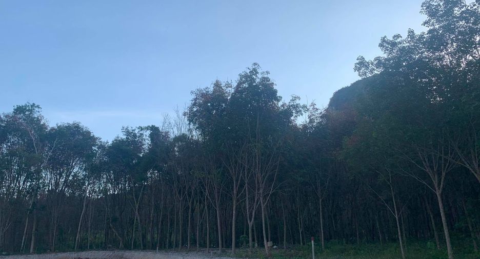 For sale land in Mueang Krabi, Krabi