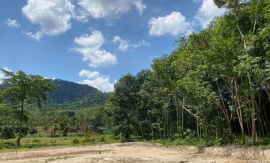 For sale land in Mueang Krabi, Krabi